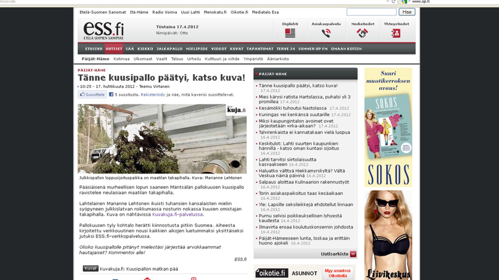 Pallokuusen katkennut latva päätyi maatilan takapihalle.
