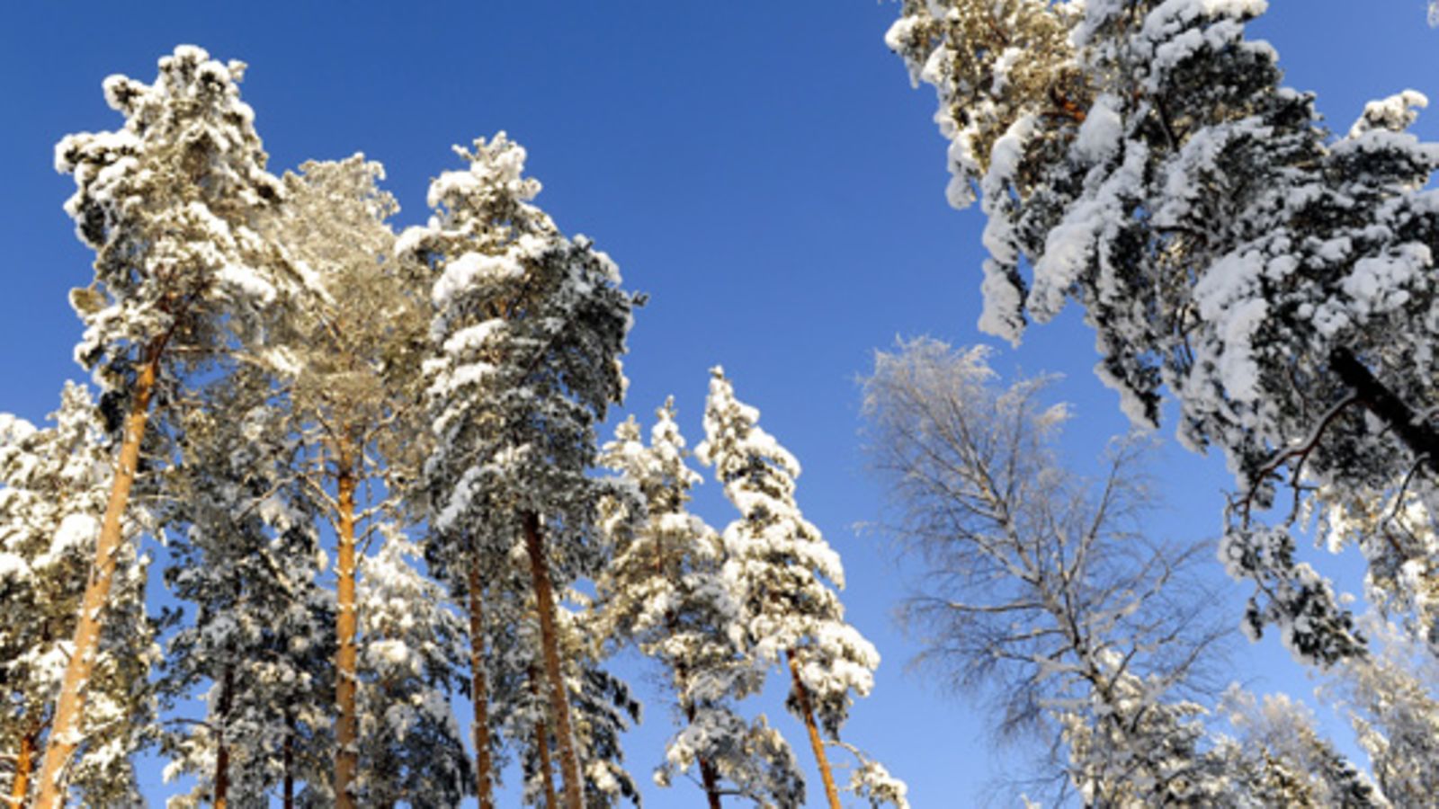 Kuva: Lehtikuva