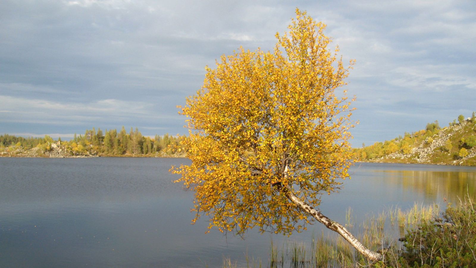 Ruskaa Inarin Vätsärissä.