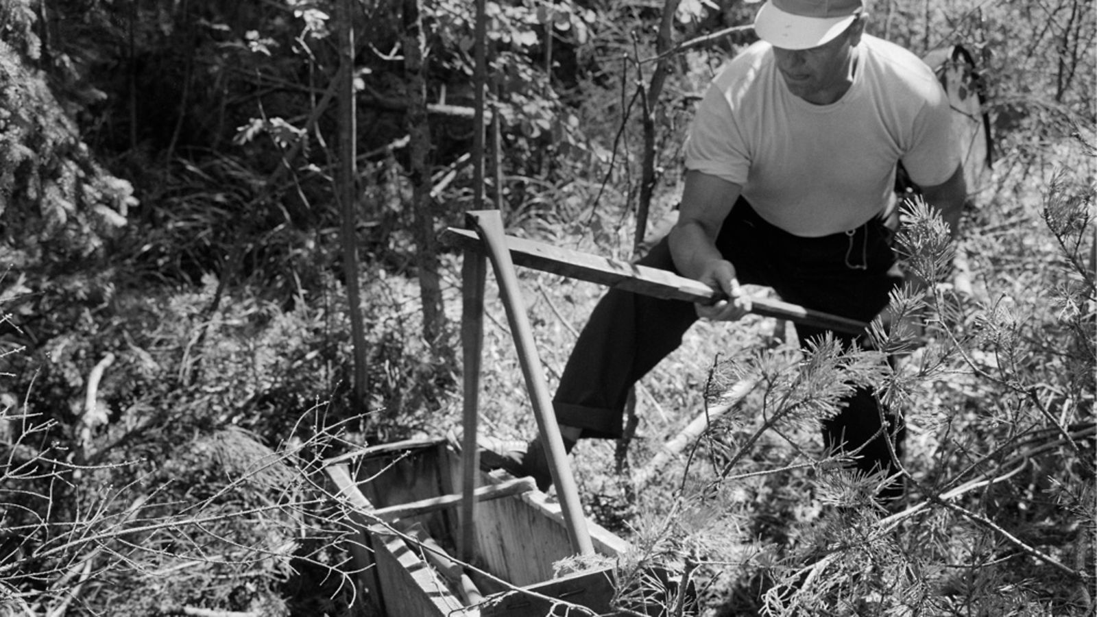 Pontikkaa ei keitetä Suomessa enää juuri ollenkaan. Kuvassa Myllypuron metsästä paljastunut pontikkatehdas vuonna 1959.