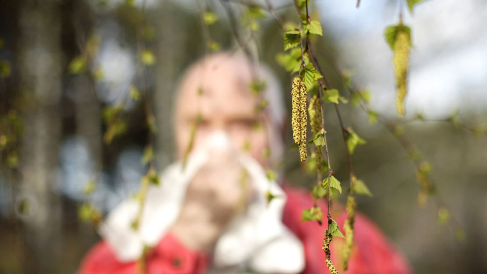 Lähes joka toinen nuori on herkistynyt jollekin allergeenille ja esimerkiksi heinänuhasta kärsii joka viides.