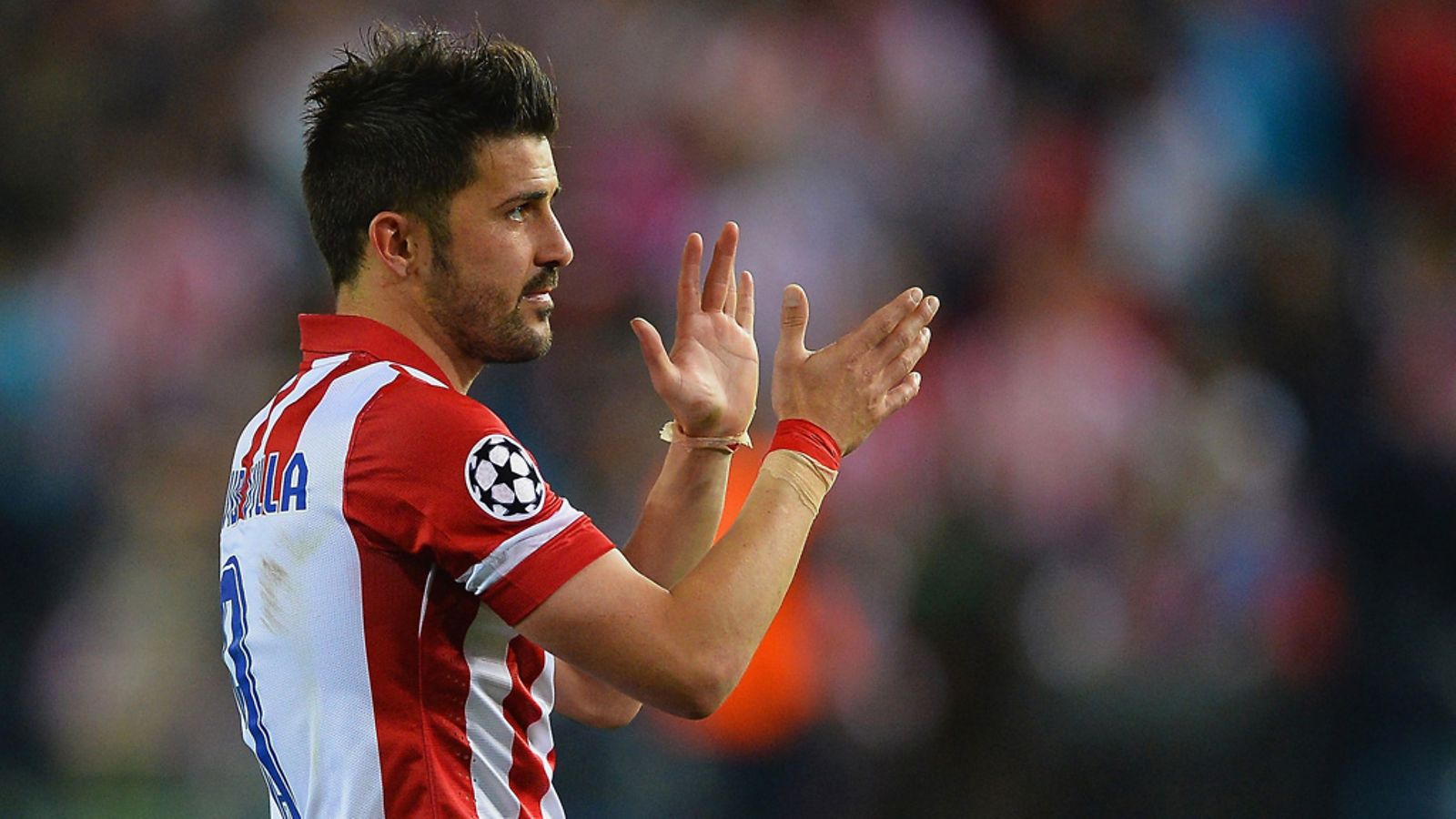 David Villa