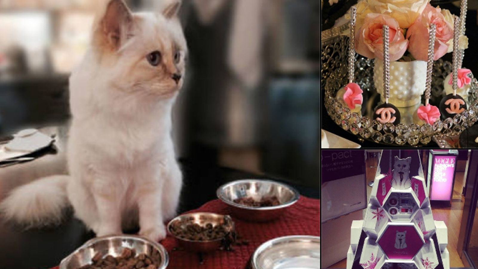 choupettesdiary-2