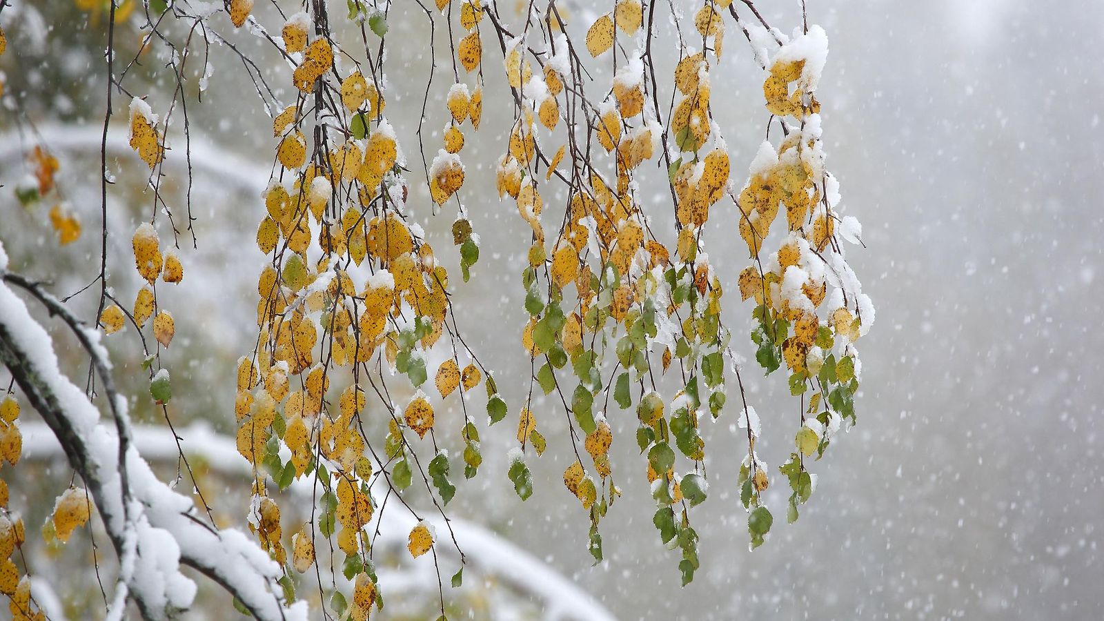 Ensilumi satoi idässä 23. syyskuuta 2014.