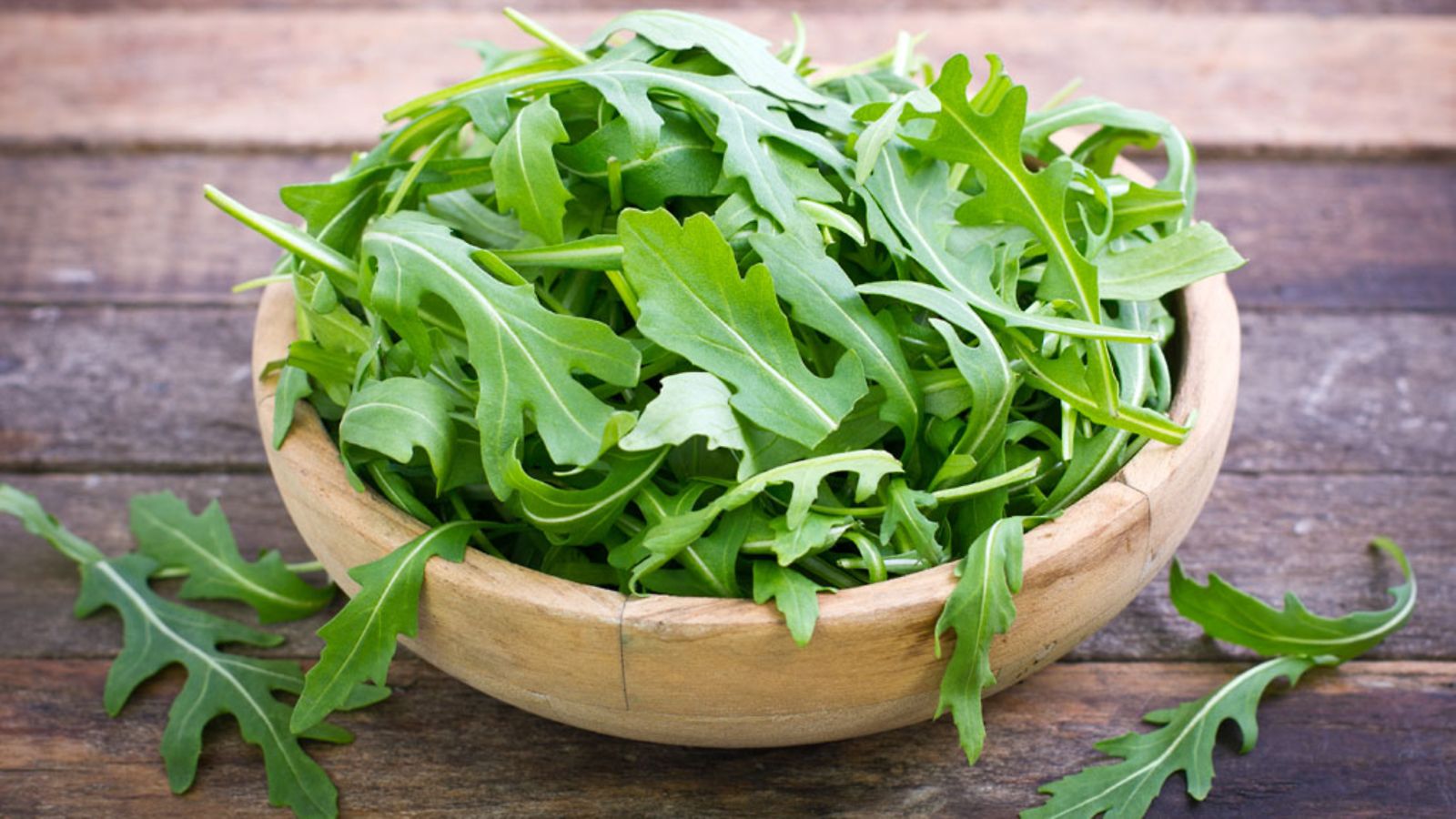 rucola2