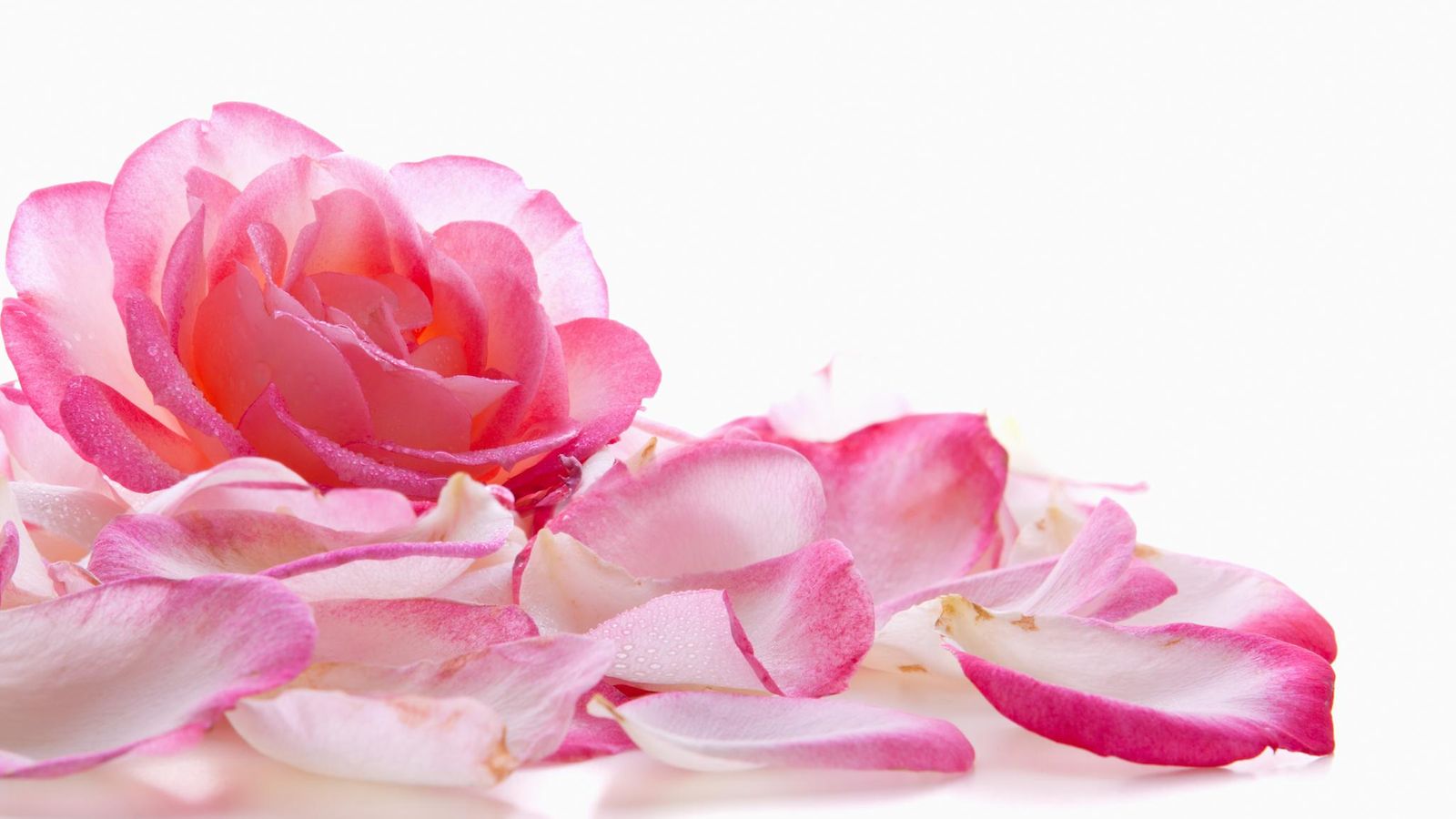 shutterstock_159786515