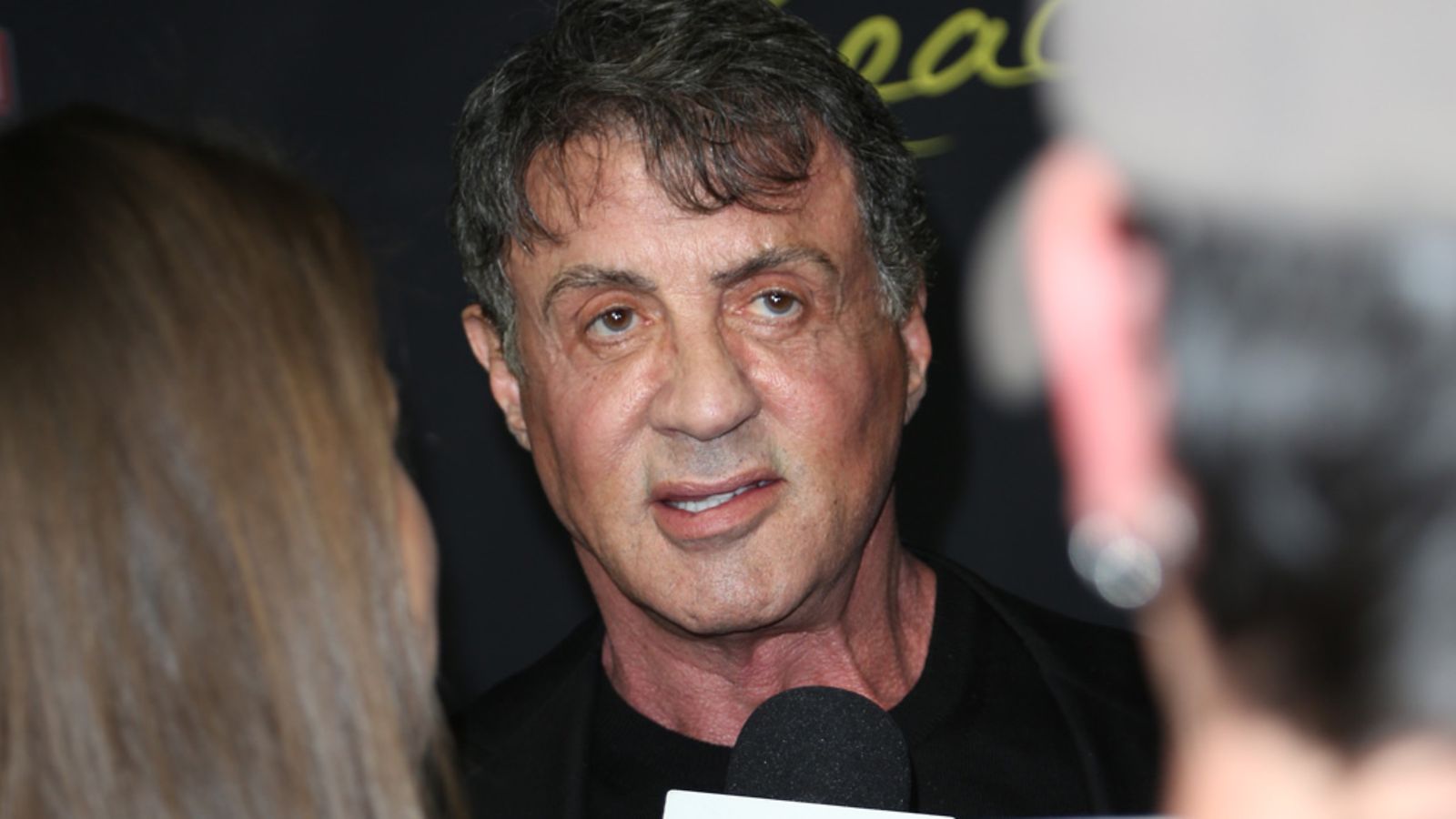 stallone sylvester