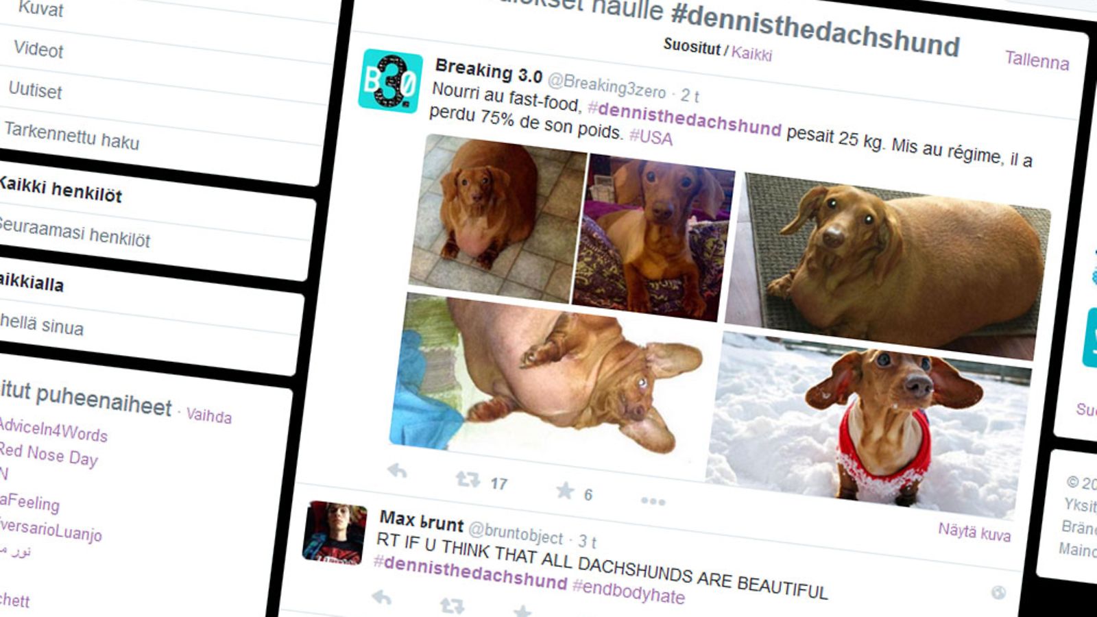 Dennis, mäyräkoira, twitter