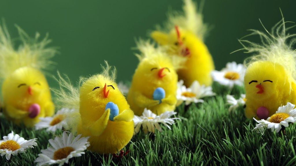 Haluatko vielä kauniin pääsiäisruohon pyhiksi? Toimi nyt