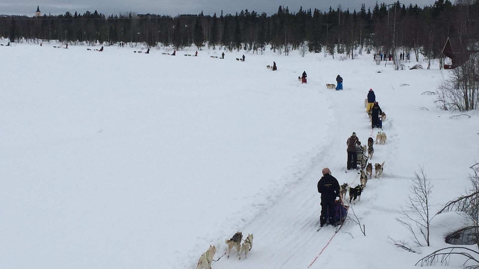 koiravaljakko maailman pisin Muoniojoki husky reki safari Lappi joki talvi