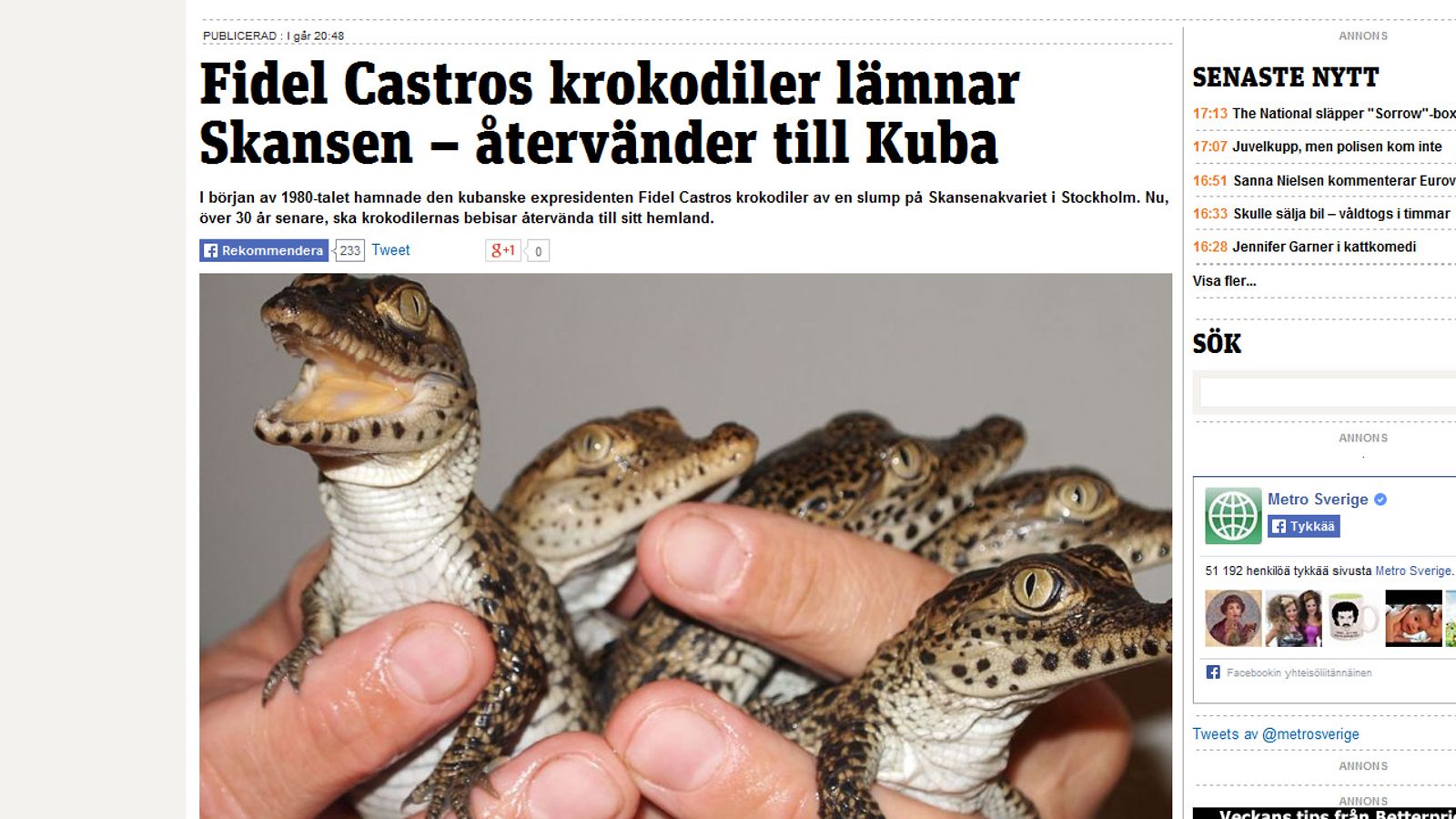 korokotiilit