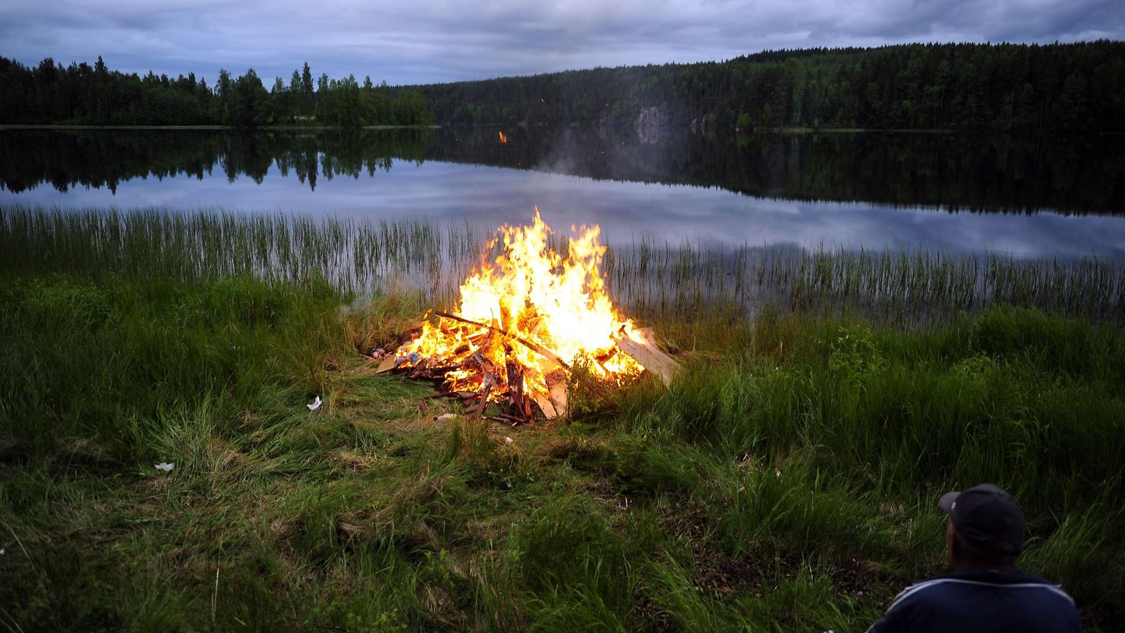 Kokko nurmikolla