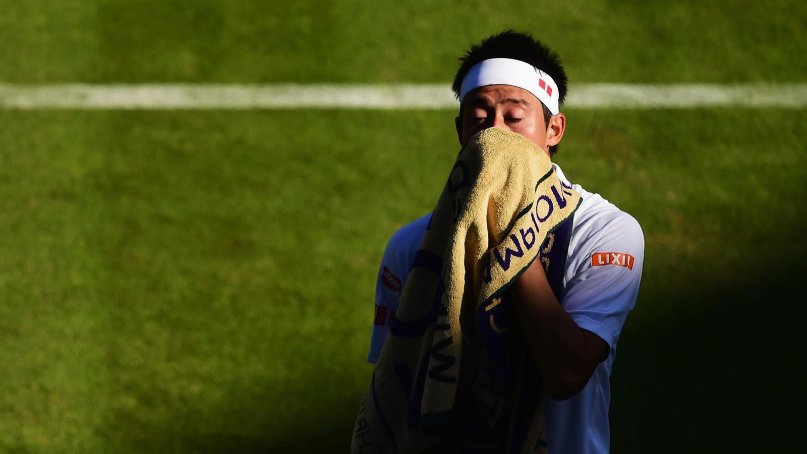 Kei Nishikori, 2015
