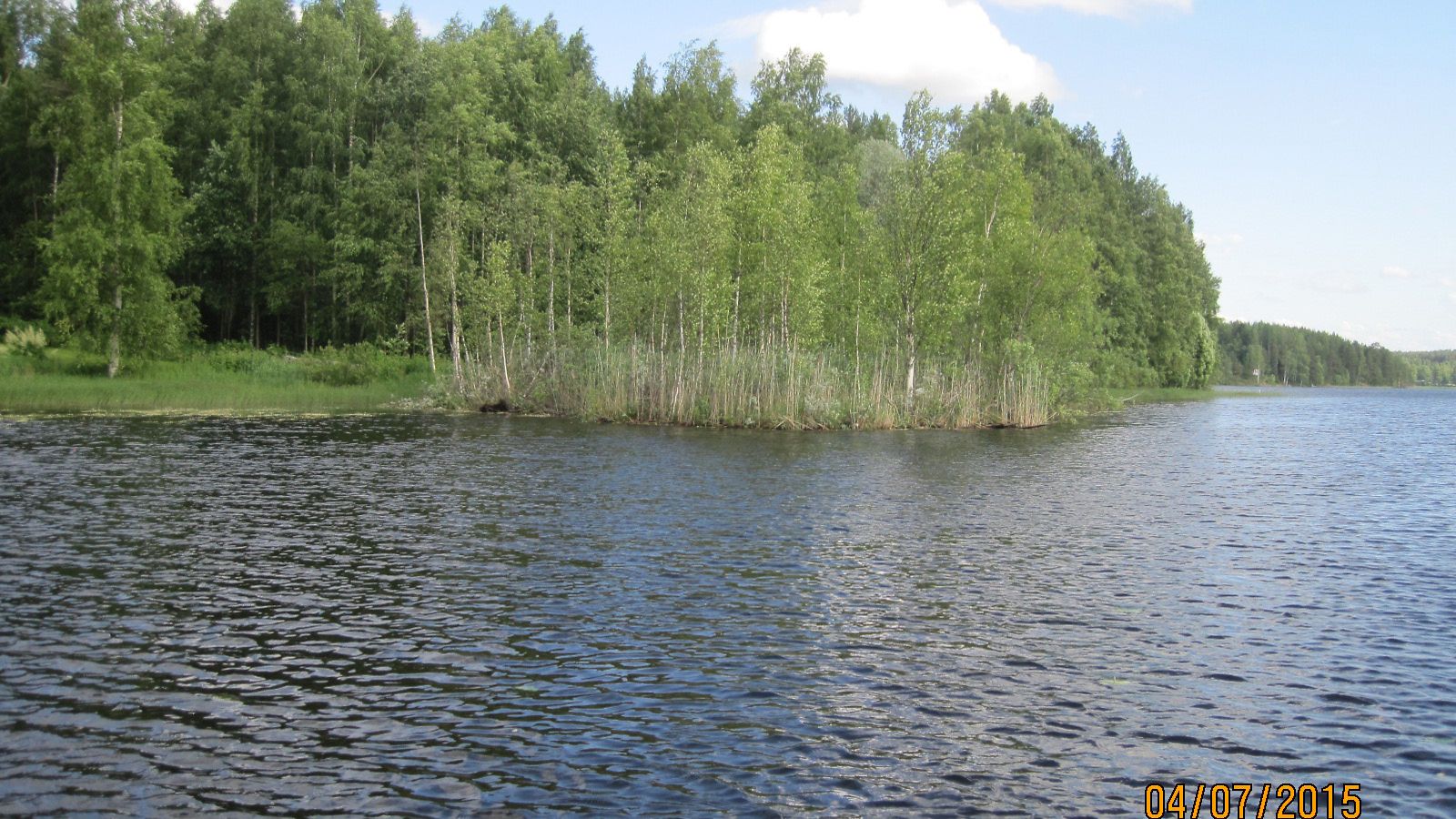 Saari