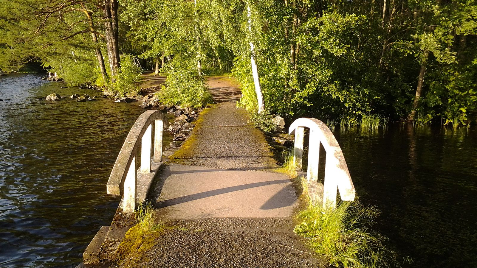 Kolea kesäpäivä