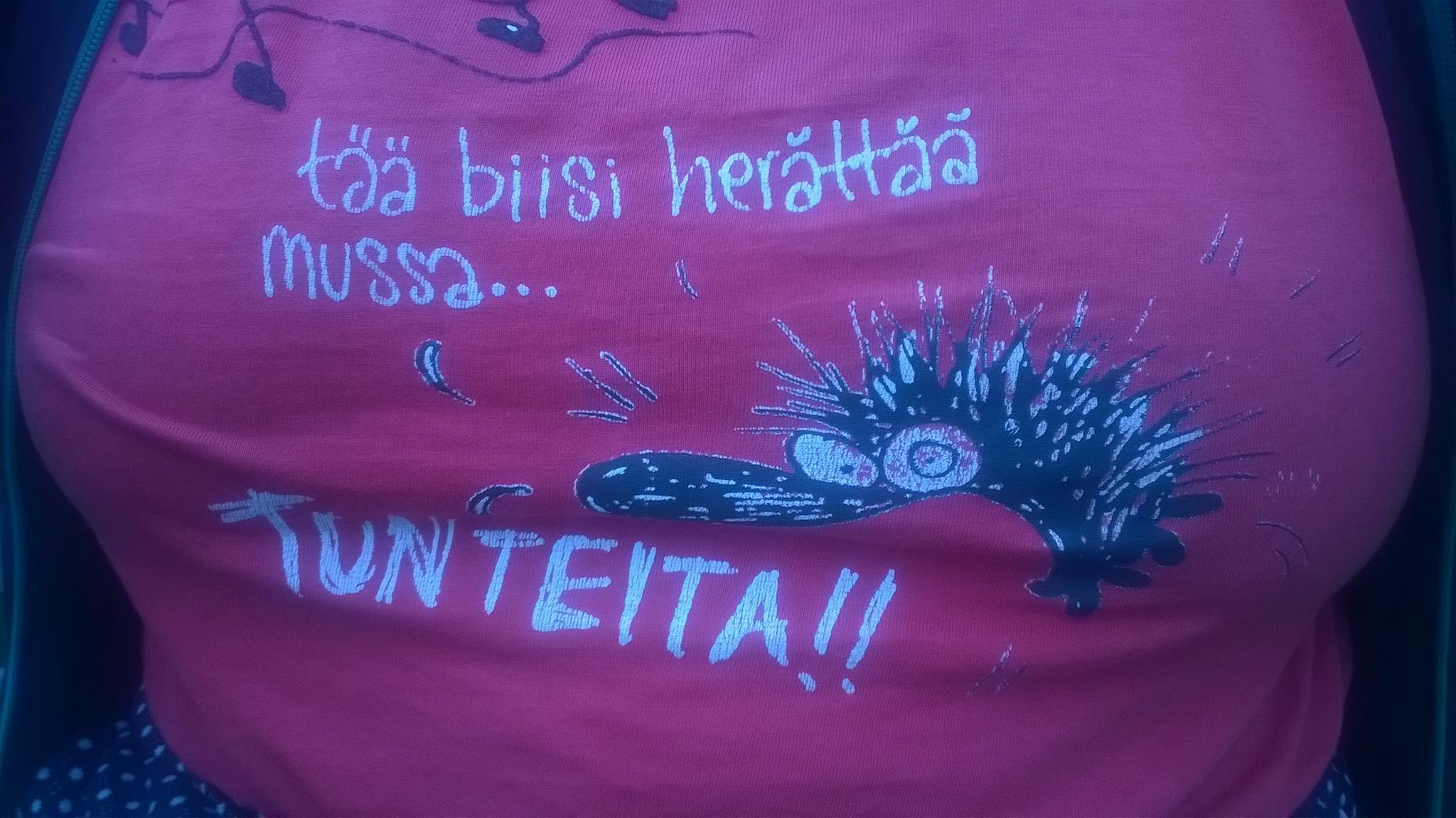 kirsi helppolainen