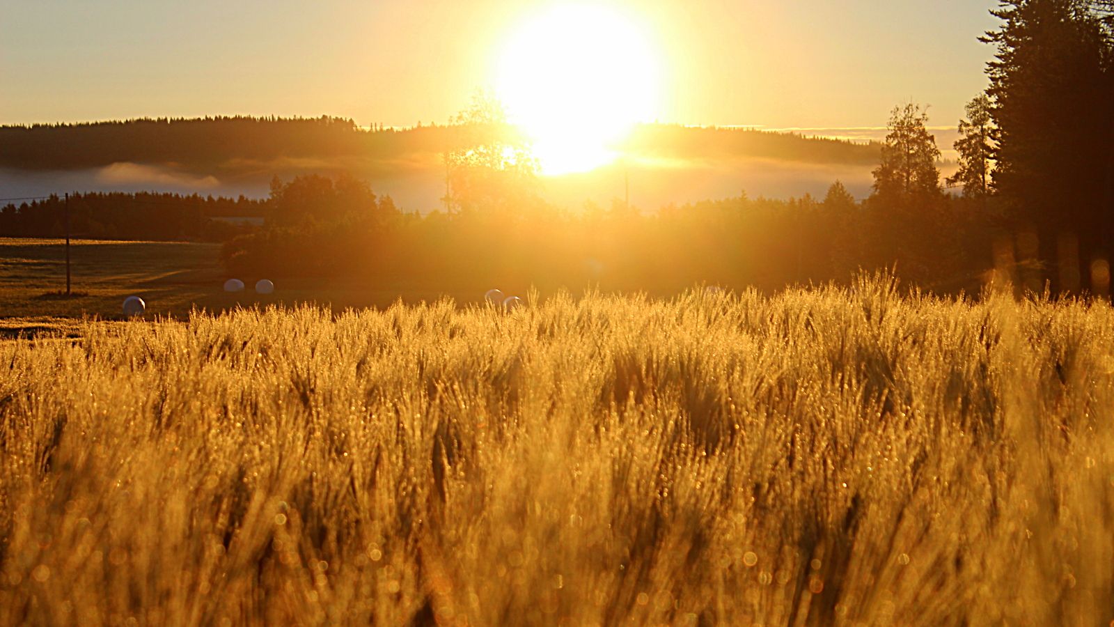 Aamun aurinko 5. elokuuta 2015. Lukijan kuva: Raija Kokkola