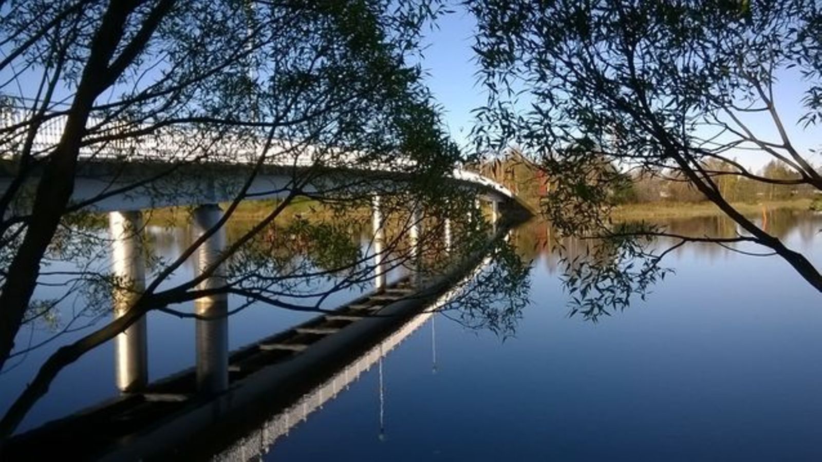 Tarja,  Oulu