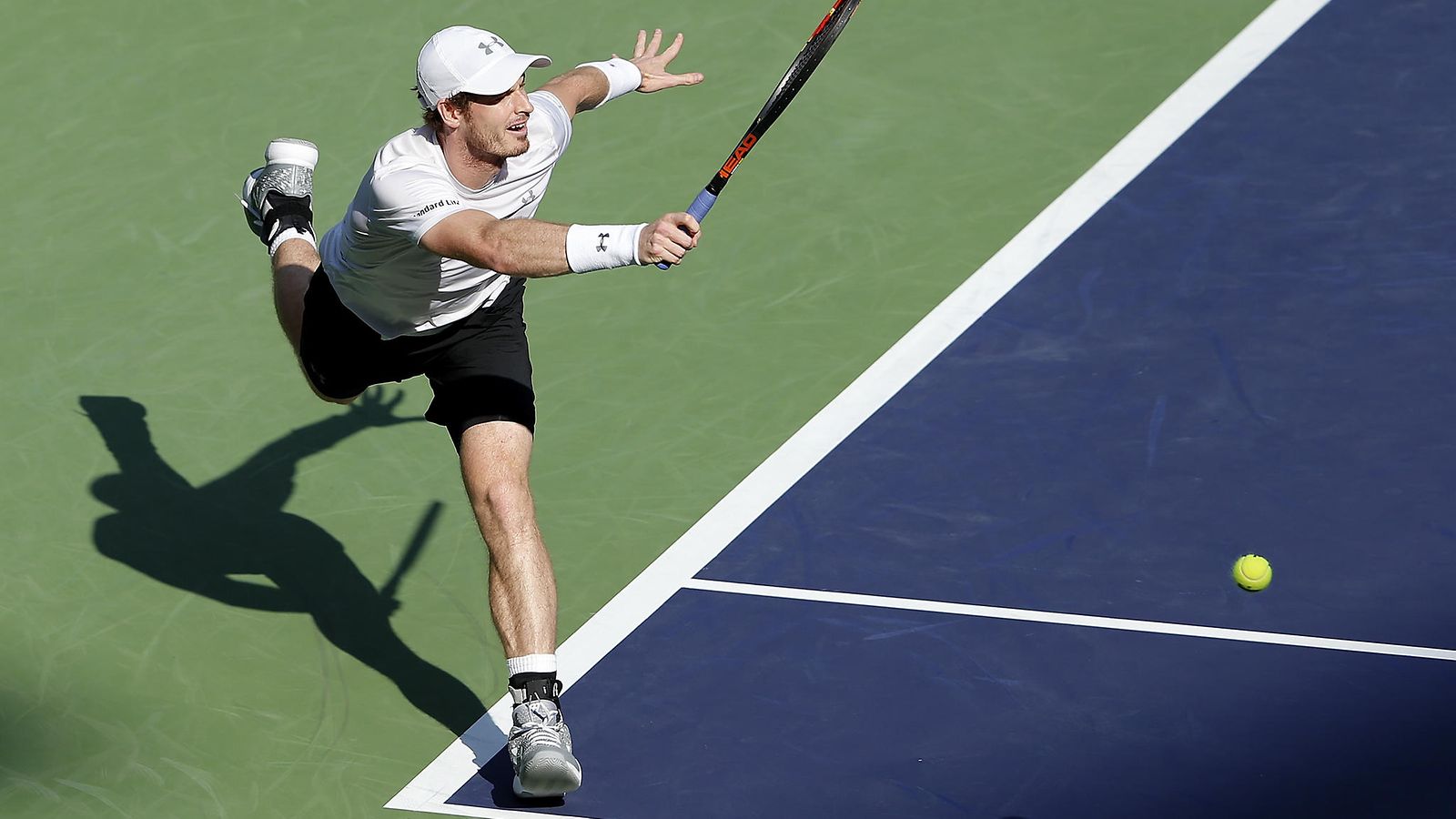 Andy Murray