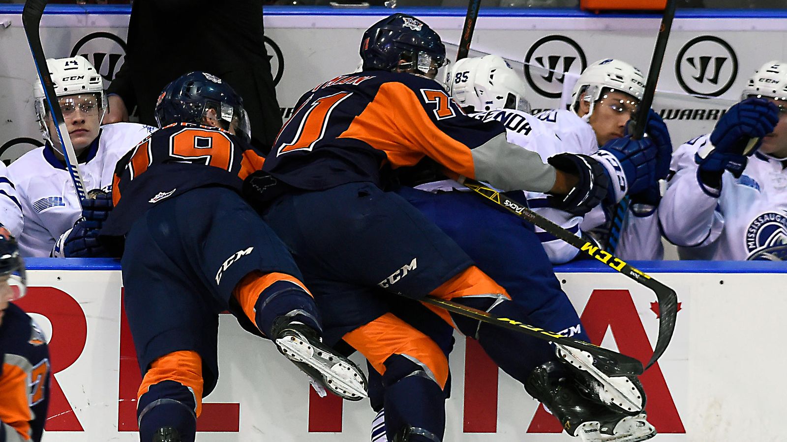 Flint Firebirds v Mississauga Steelheads