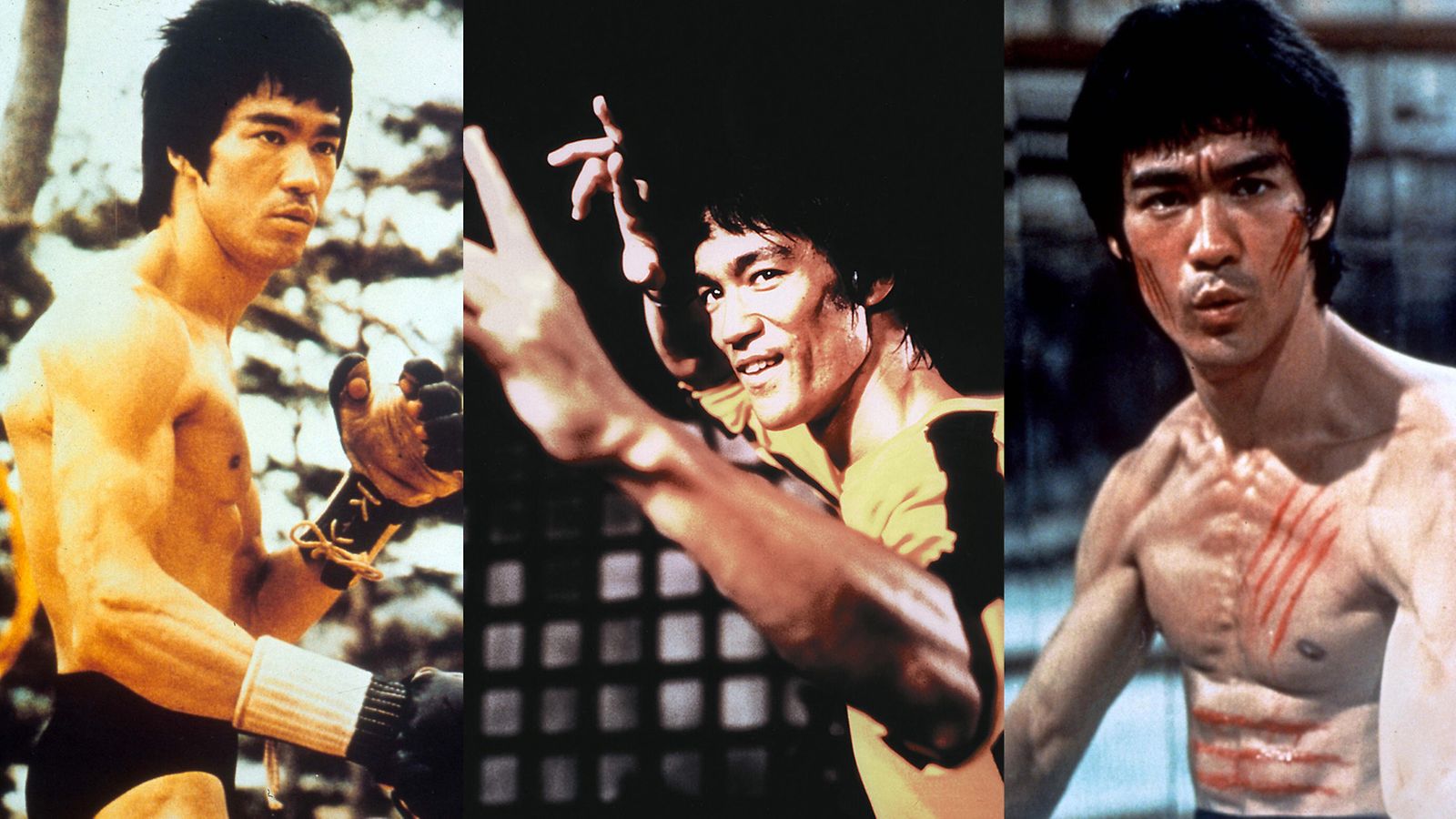 Bruce Lee