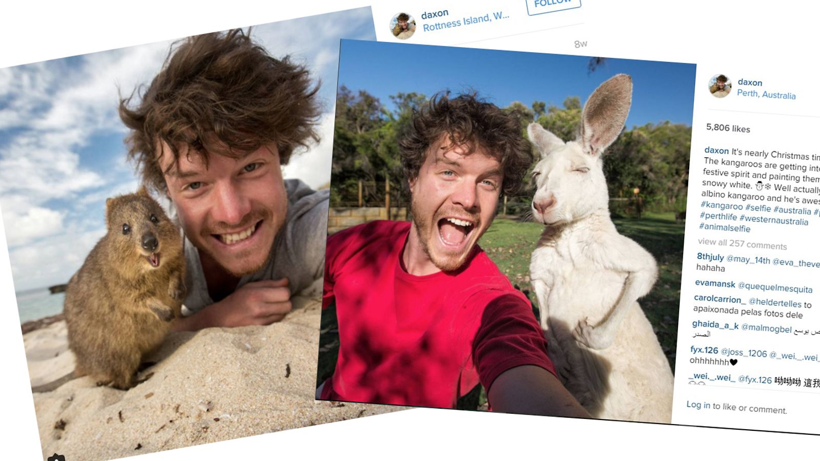 eläinselfiet