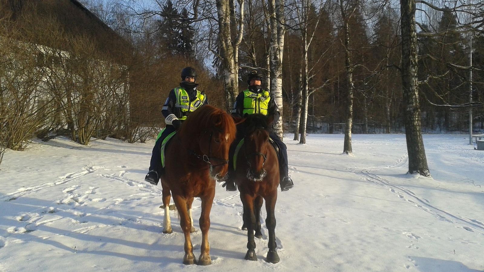Helsingin ratsupoliisi, kuva: Helsingin poliisi.