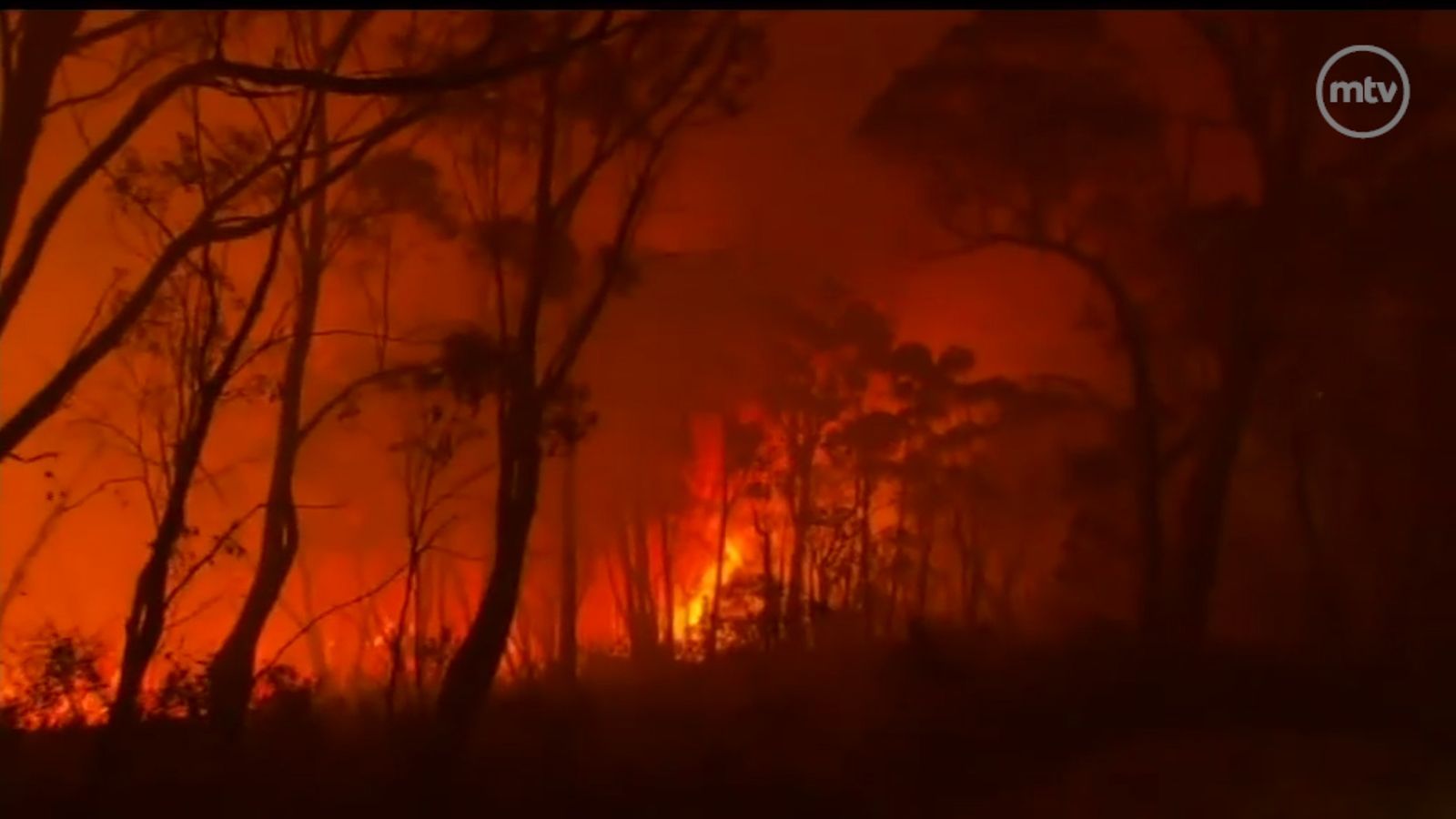 Australian metsäpalo 2013