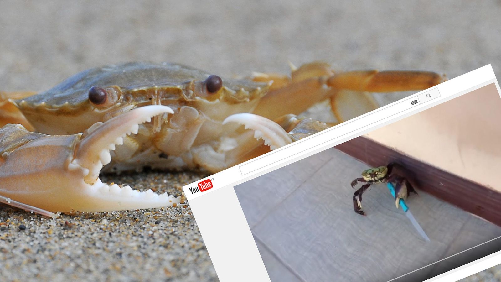 Kuvituskuva ja kuvakaappaus Youtubesta