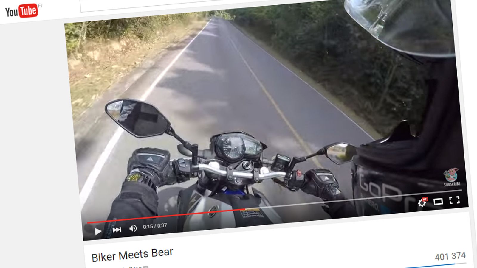 bikerbear