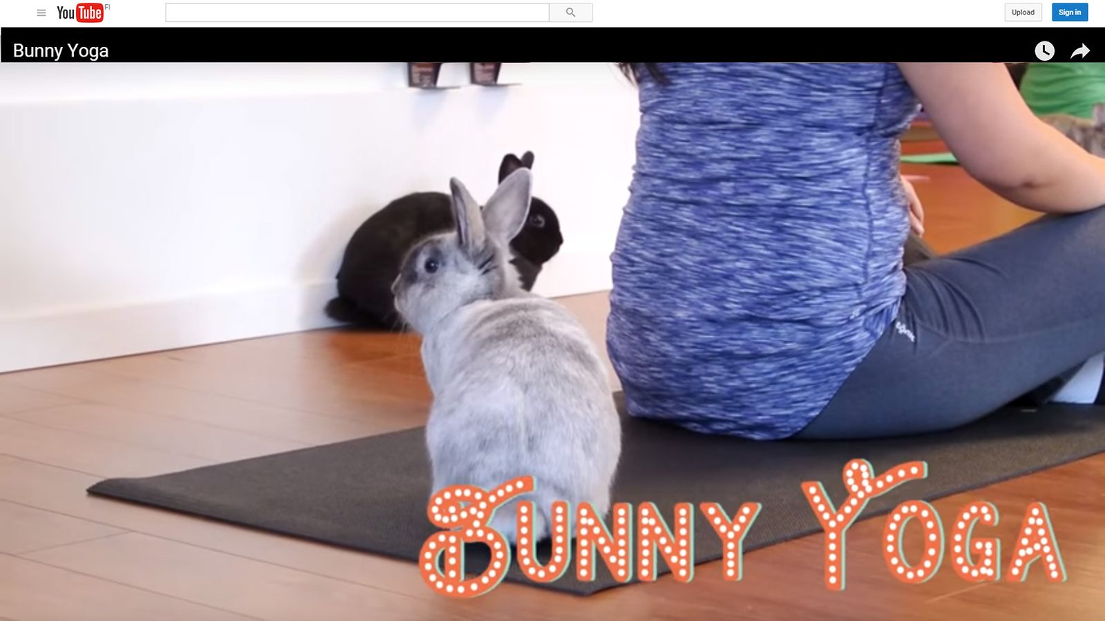 Kuvakaappaus Youtubesta