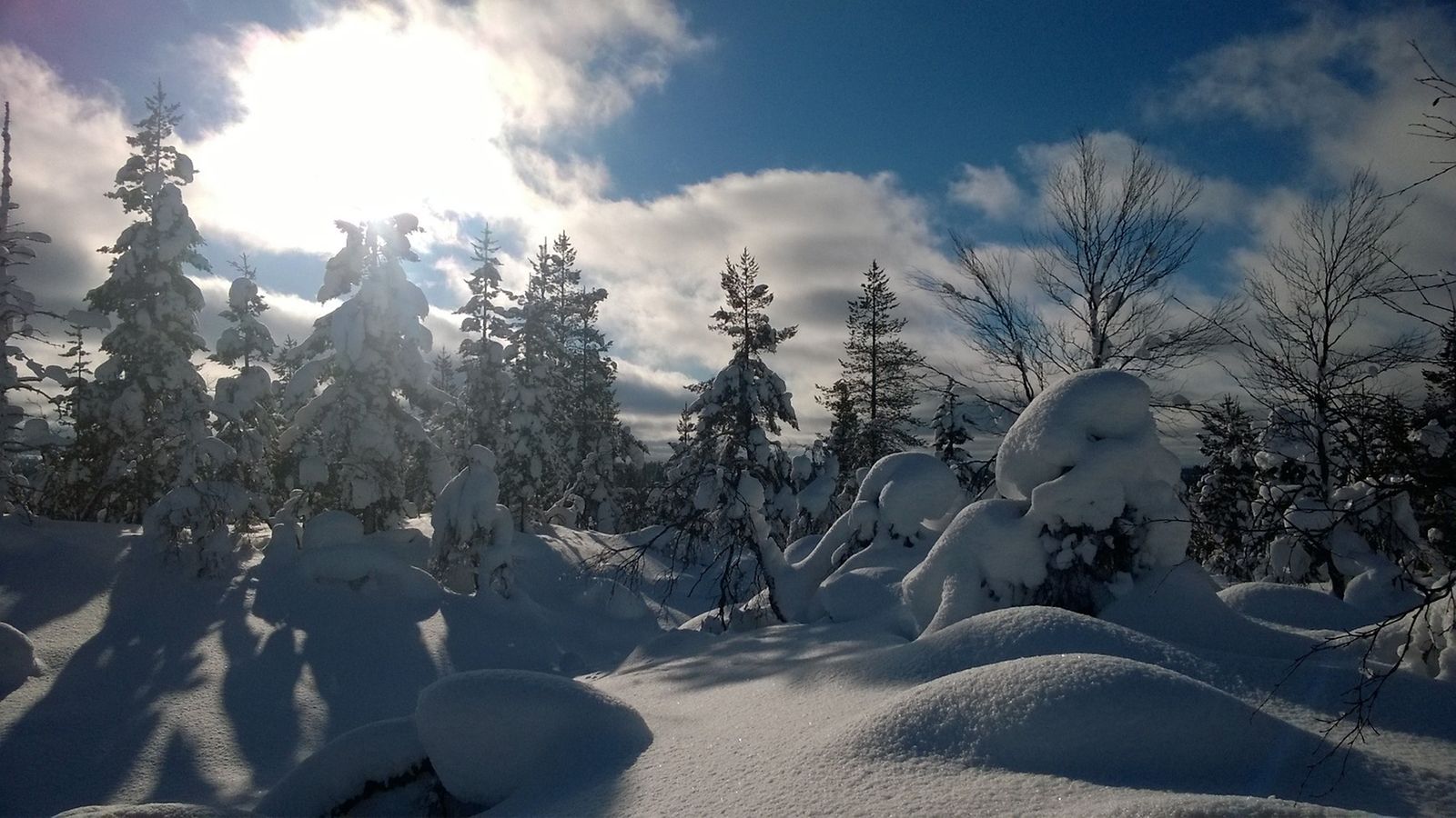 Saariselkä, Lappi, maisema, talvi,aurinko