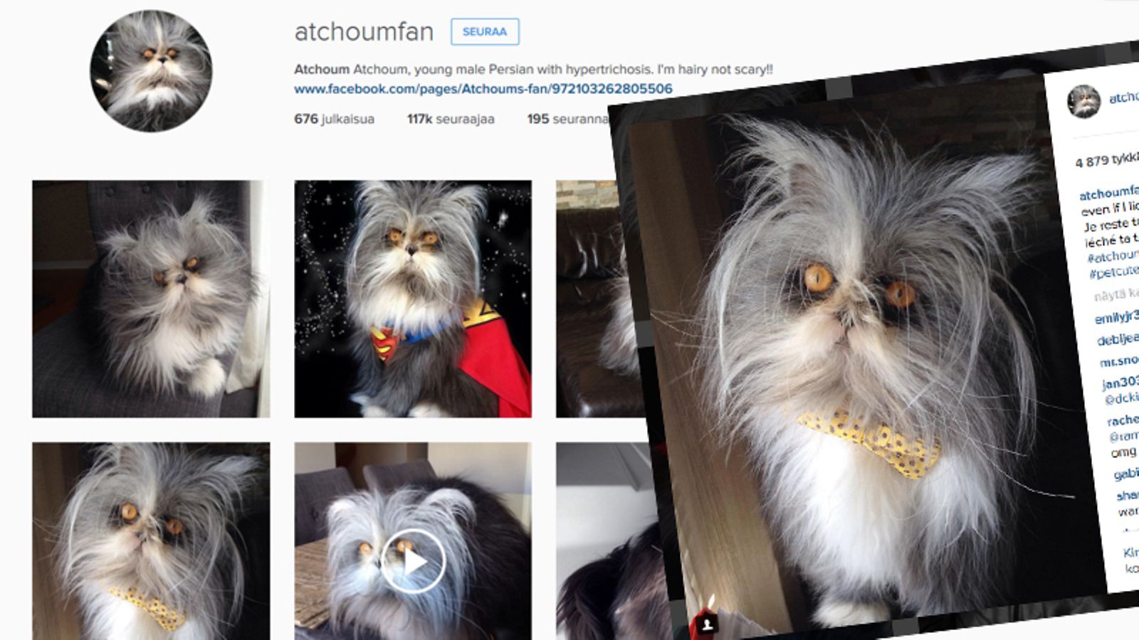 Kuvakaappaus Atchoumin tililtä Instagramista