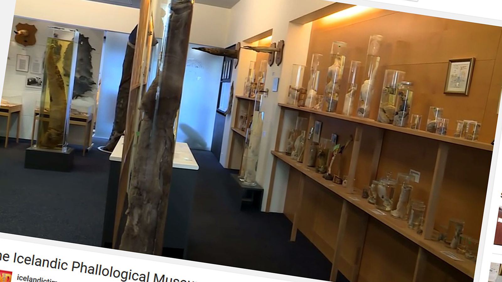 penismuseo, kuvakaappaus, youtube