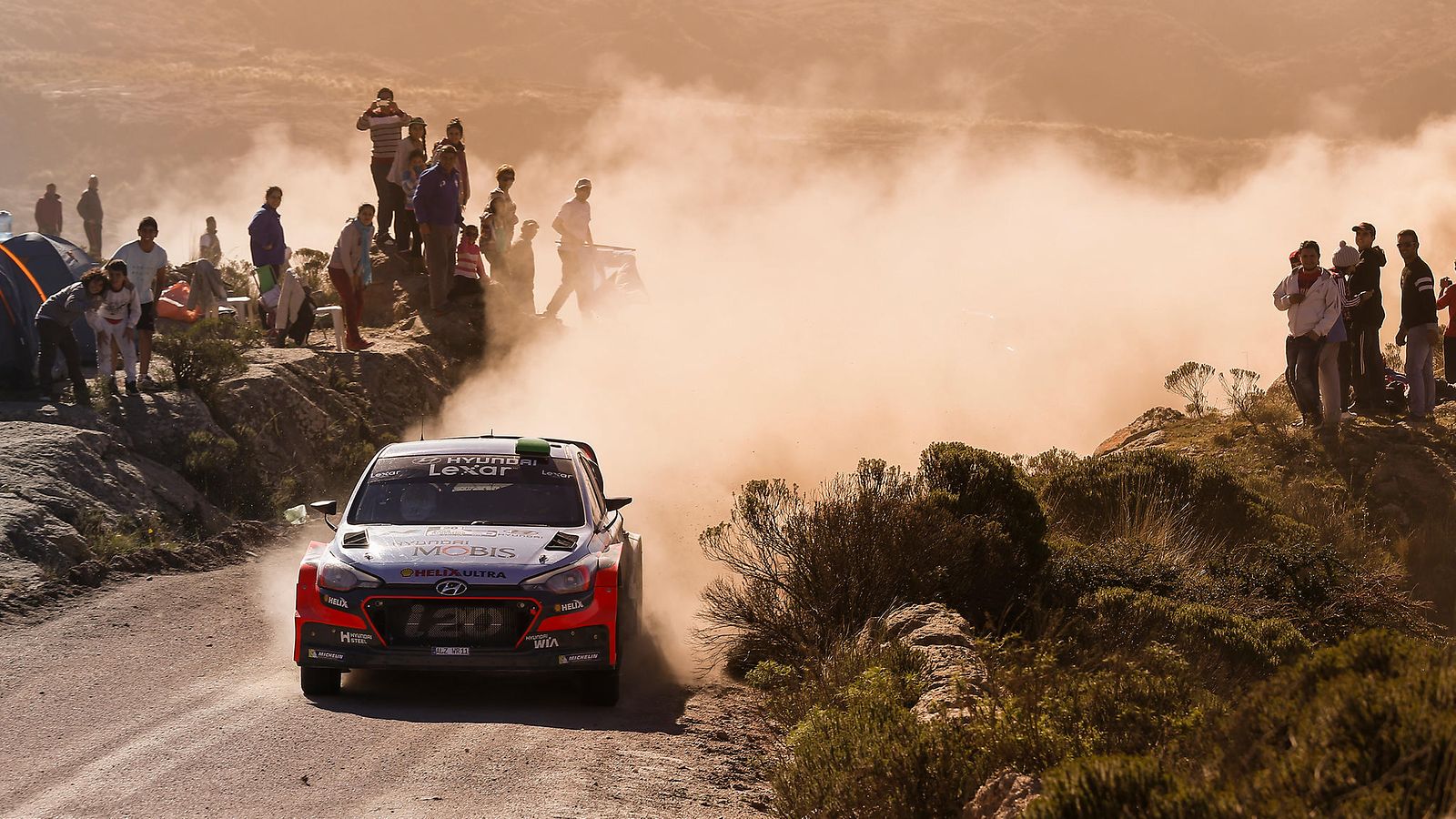Hayden Paddon (1)