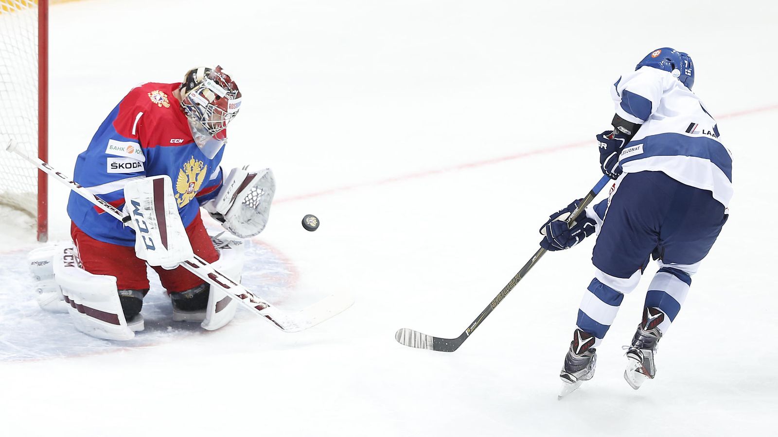 Leijonat