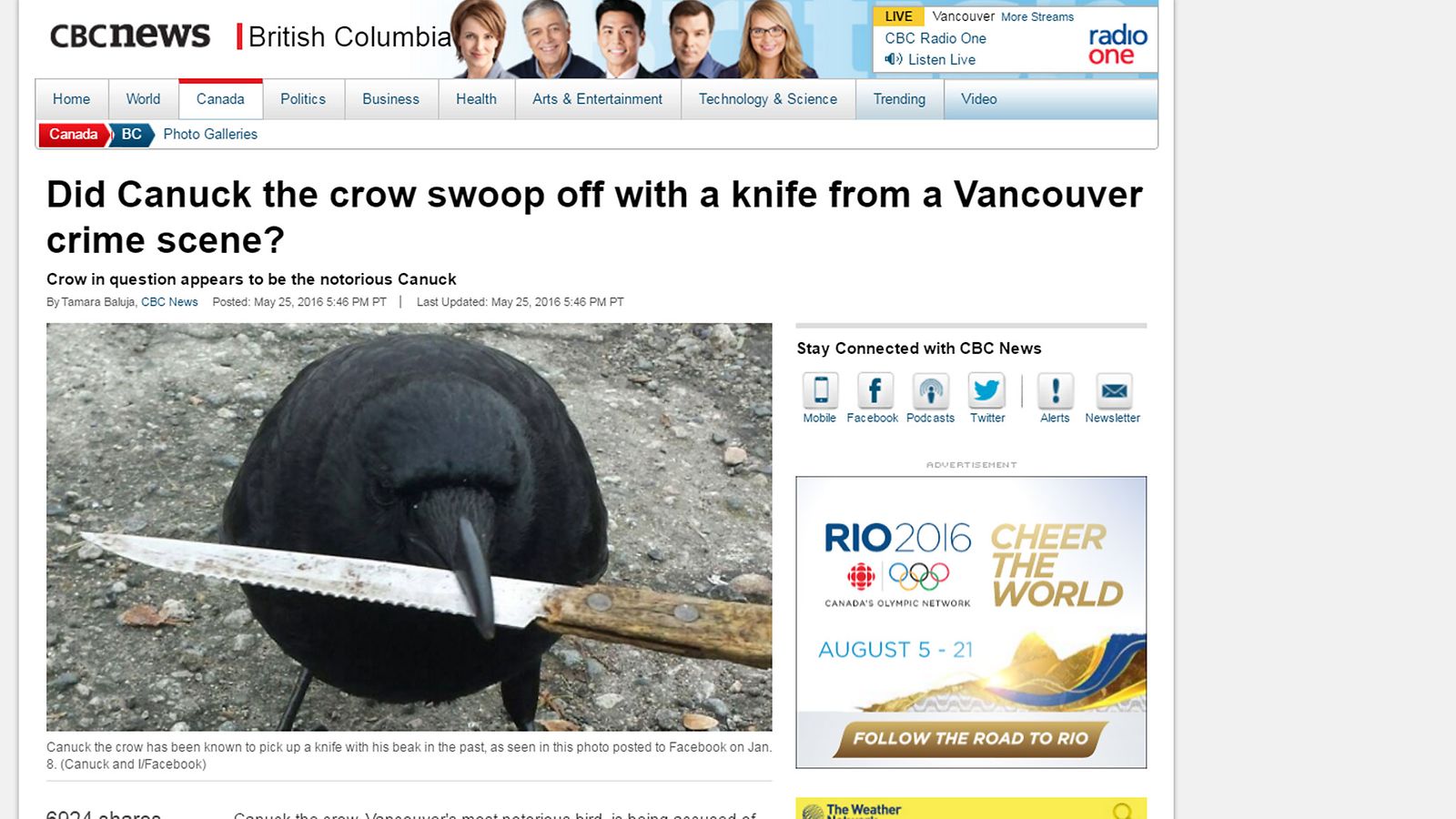 Canuck-korppi Vancouver