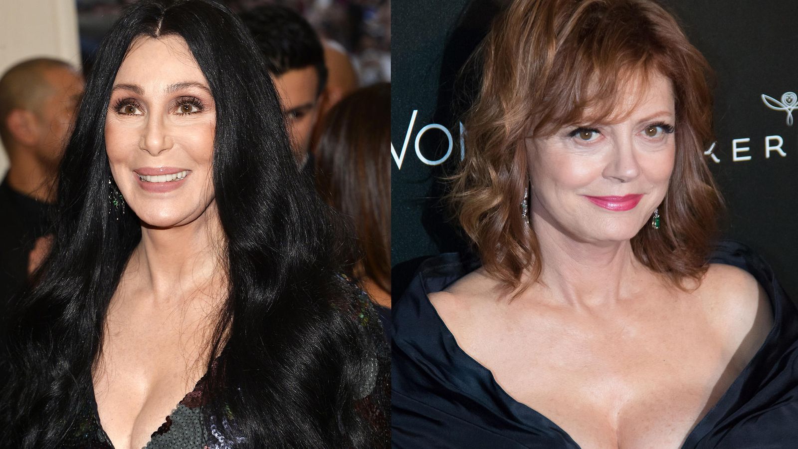 cher ja sarandon