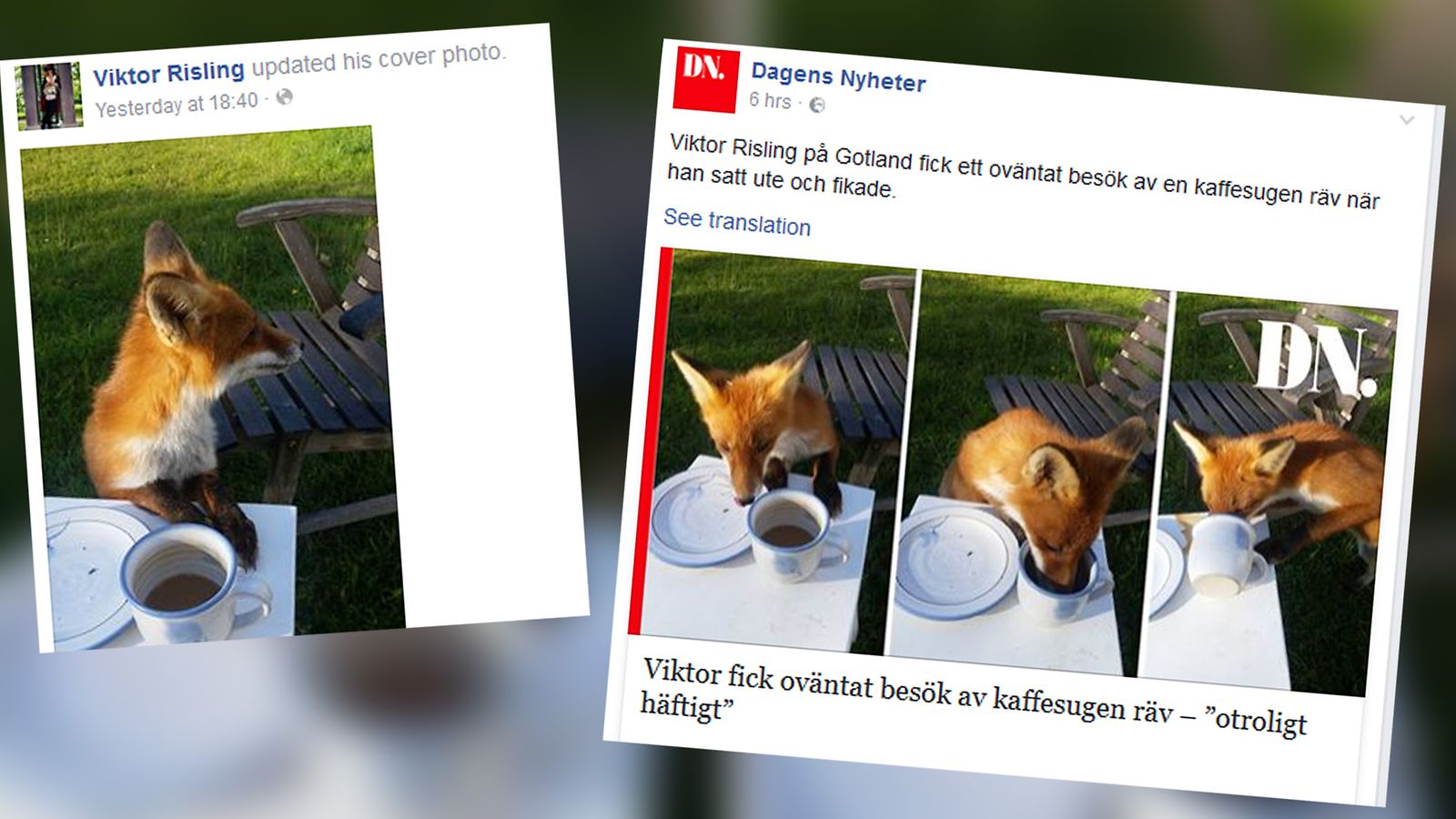 Kuvakaappaukset Facebookista.
