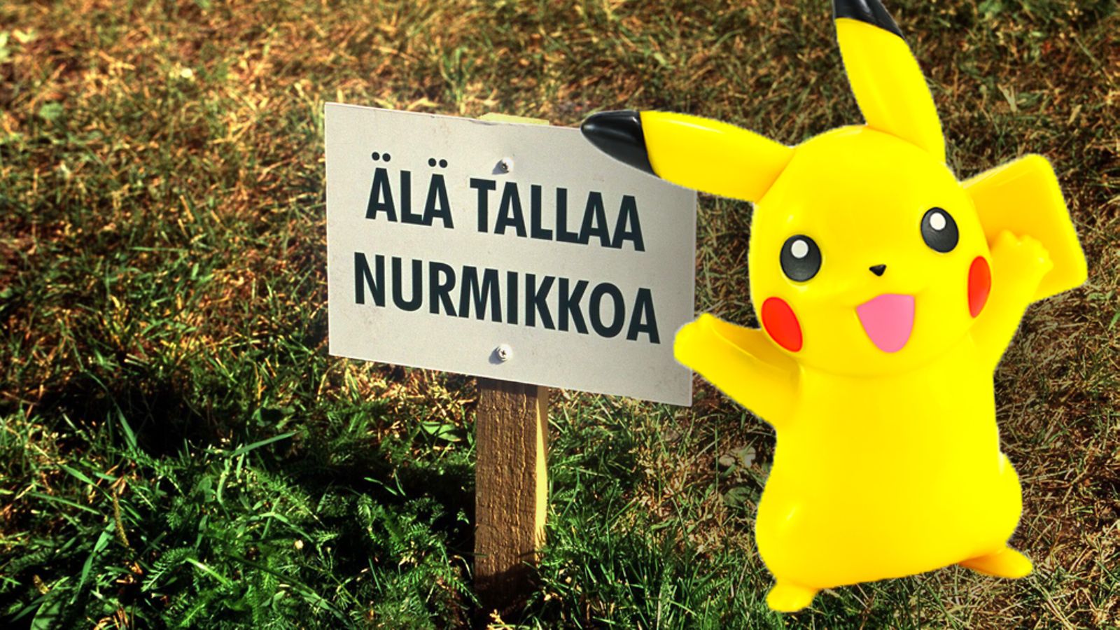 älä astu nurmikolle