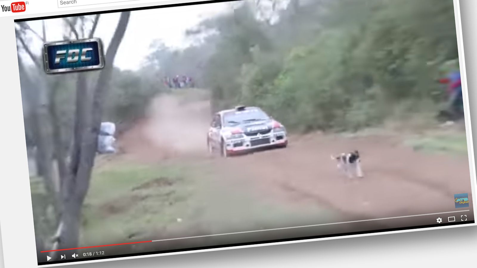 rallikoira