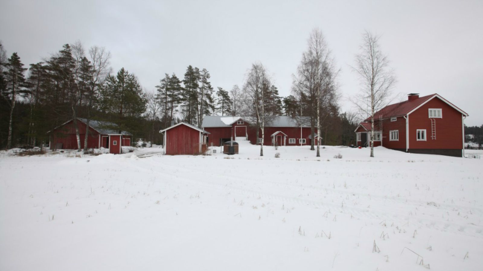 salo-tukikohta
