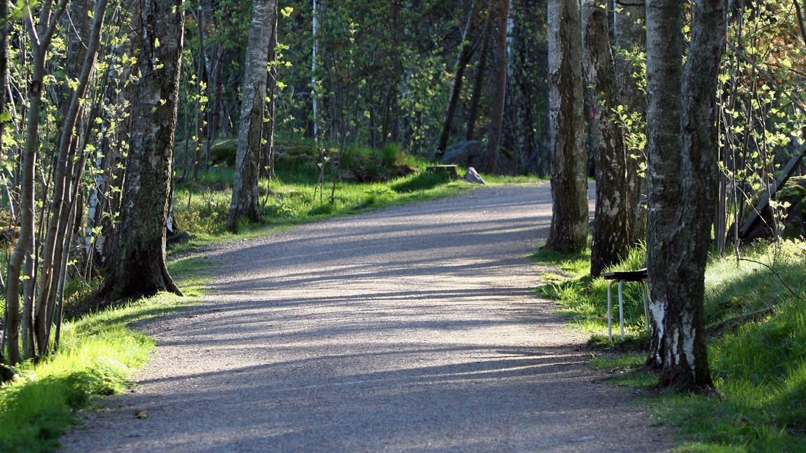 lenkkipolku