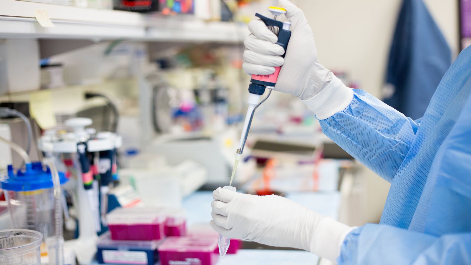 dna-testi