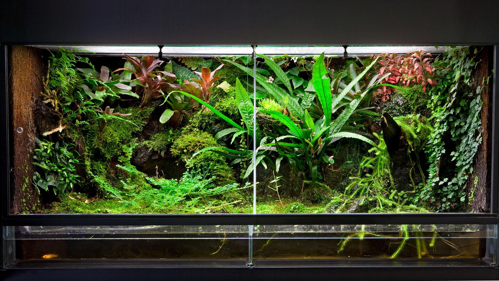 terraario