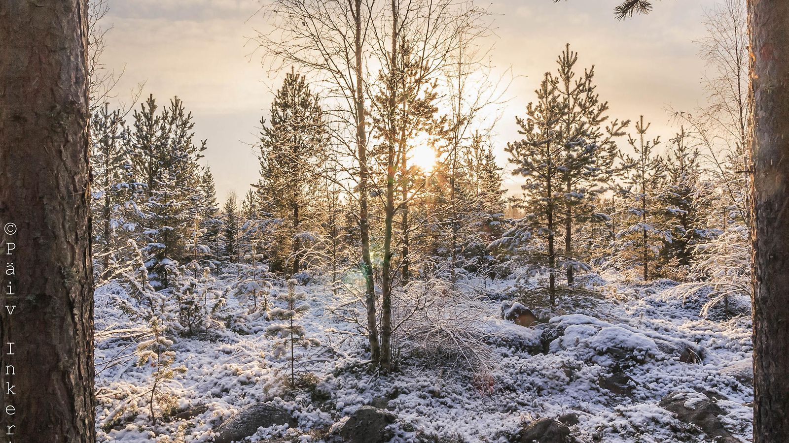 SÄÄ, oulu