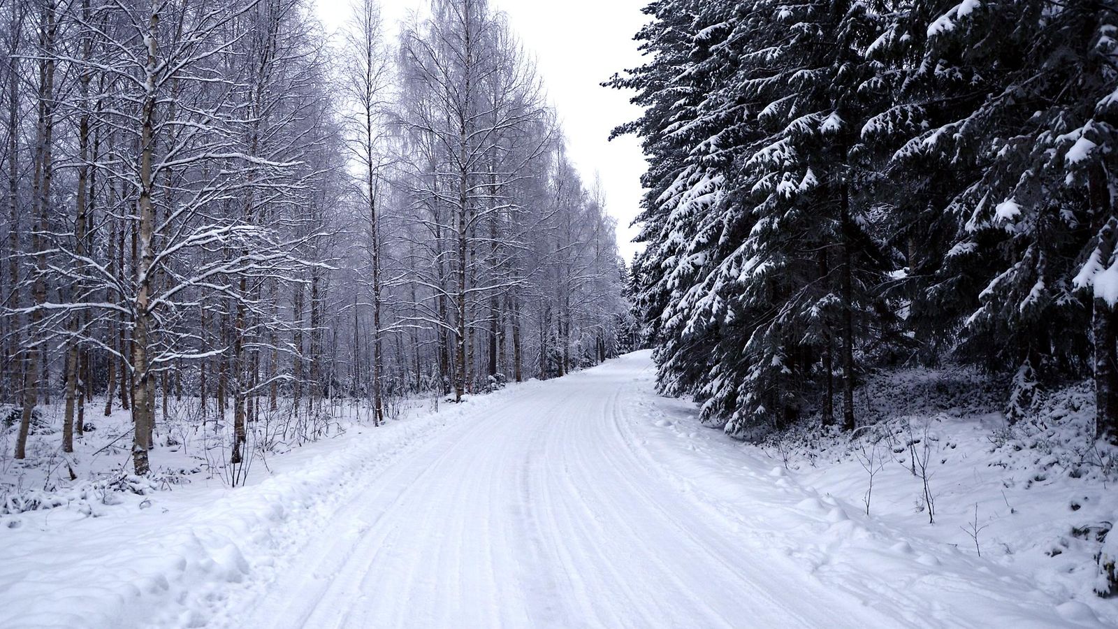 talvinen