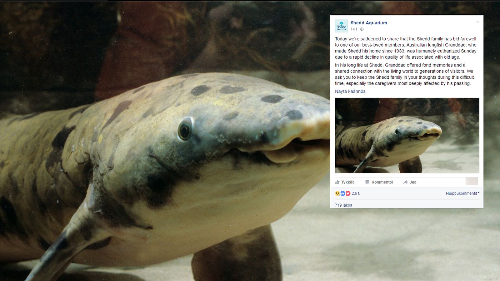 Shedd Aquarium