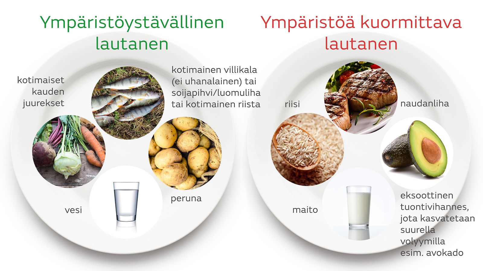 ympäristöystävällinen lautanen