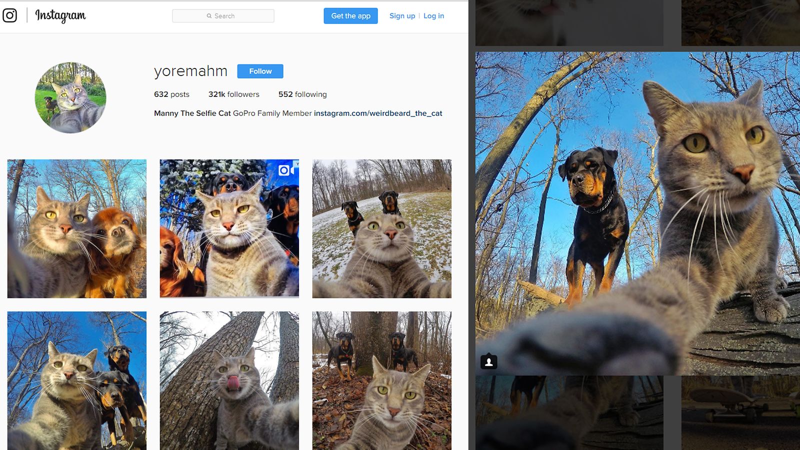 Kuvien lähde Instagram